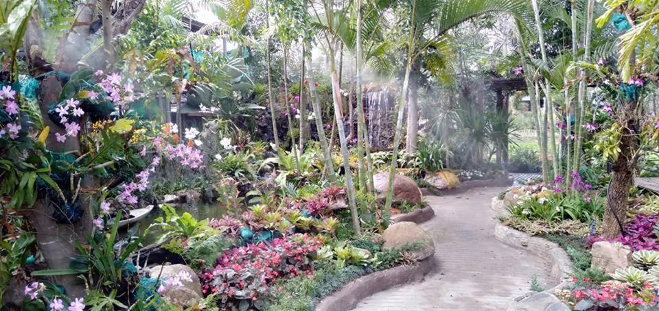 Suanhom Resort San Sai Екстер'єр фото